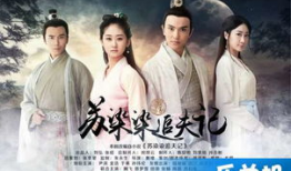 苏染染是什么电视剧,穿越时空的美丽传奇